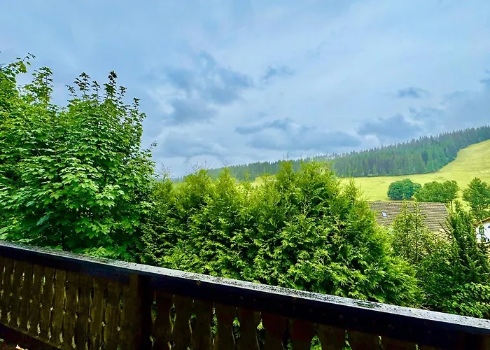 Appartement Rafael Mit Sauna & Hs-card - Greschuk