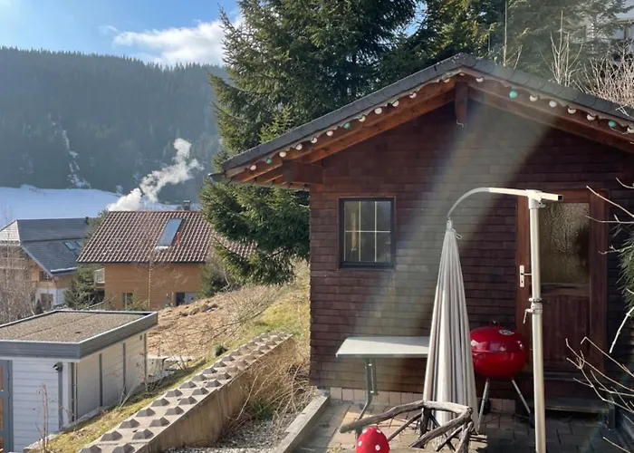 Rafael Mit Sauna & Hs-card - Greschuk Appartement